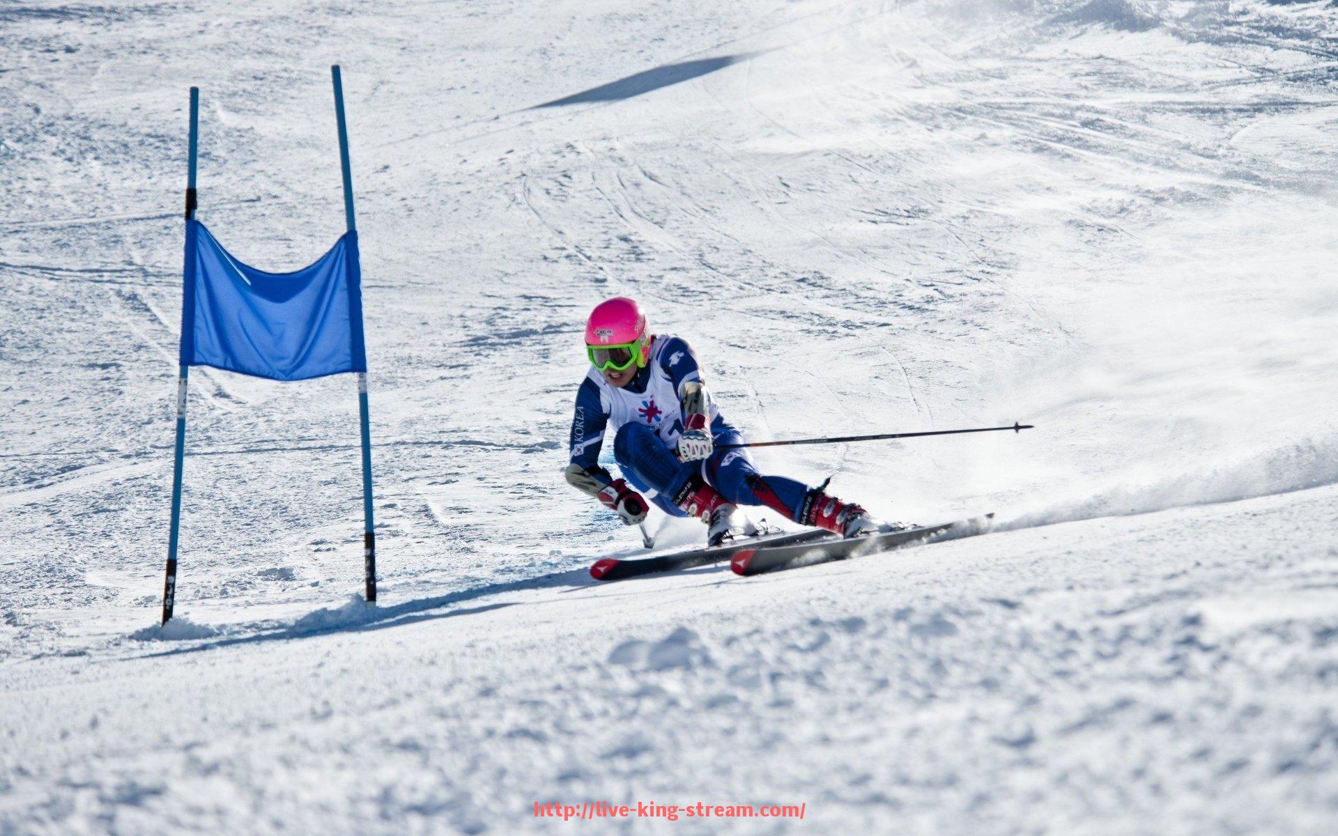 王者体育直播-构建自然修复城市样本：世俱杯主办城市生态修复工程进度解析